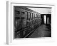 White Frame
