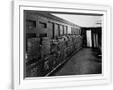 Gramercy White