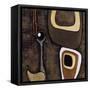 Enigma-Joel Holsinger-Framed Stretched Canvas