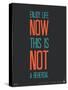 Enjoy Life Now Poster-null-Stretched Canvas