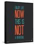 Enjoy Life Now Poster-null-Framed Stretched Canvas