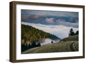 Enjoy Mount Tam, Bring A Friend, Above the Fog California-Vincent James-Framed Photographic Print