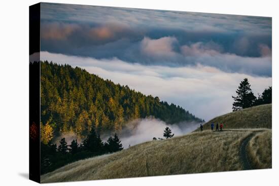 Enjoy Mount Tam, Bring A Friend, Above the Fog California-Vincent James-Stretched Canvas
