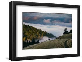 Enjoy Mount Tam, Bring A Friend, Above the Fog California-Vincent James-Framed Photographic Print