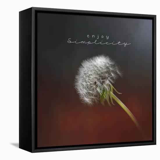 Enjoy Simplicity-Jai Johnson-Framed Stretched Canvas