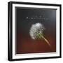 Enjoy Simplicity-Jai Johnson-Framed Giclee Print