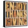 Enjoy Thanksgiving-PixelsAway-Framed Stretched Canvas