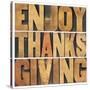 Enjoy Thanksgiving-PixelsAway-Stretched Canvas