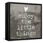 Enjoy the little things II-Jamie MacDowell-Framed Stretched Canvas
