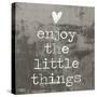 Enjoy the little things II-Jamie MacDowell-Stretched Canvas