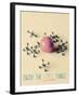 Enjoy the Little Things-Gail Peck-Framed Art Print