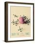 Enjoy the Little Things-Gail Peck-Framed Premium Giclee Print