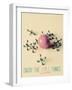 Enjoy the Little Things-Gail Peck-Framed Premium Giclee Print