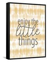 Enjoy the Little Things-Kimberly Allen-Framed Stretched Canvas