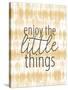 Enjoy the Little Things-Kimberly Allen-Stretched Canvas