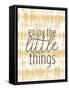 Enjoy the Little Things-Kimberly Allen-Framed Stretched Canvas