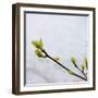 Enjoy the Little Things-Kimberly Glover-Framed Giclee Print