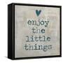 Enjoy the little things-Jamie MacDowell-Framed Stretched Canvas