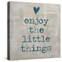 Enjoy the little things-Jamie MacDowell-Stretched Canvas