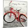 Enjoy the Ride-Amy Melious-Mounted Art Print