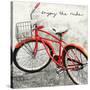 Enjoy the Ride-Amy Melious-Stretched Canvas