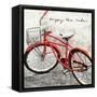 Enjoy the Ride-Amy Melious-Framed Stretched Canvas