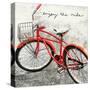 Enjoy the Ride-Amy Melious-Stretched Canvas