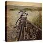 Enjoy the Ride-Gail Peck-Stretched Canvas