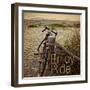 Enjoy the Ride-Gail Peck-Framed Art Print