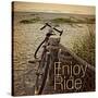 Enjoy the Ride-Gail Peck-Stretched Canvas