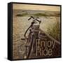 Enjoy the Ride-Gail Peck-Framed Stretched Canvas