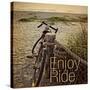 Enjoy the Ride-Gail Peck-Stretched Canvas