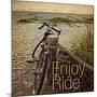 Enjoy the Ride-Gail Peck-Mounted Art Print