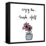 Enjoy the Simple Stuff-Susan Bryant-Framed Stretched Canvas