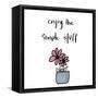 Enjoy the Simple Stuff-Susan Bryant-Framed Stretched Canvas