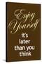 Enjoy Yourself It's Later Than You Think Poster-null-Stretched Canvas