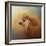 Enjoying the Breeze Apricot Poodle-Jai Johnson-Framed Giclee Print