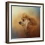 Enjoying the Breeze Apricot Poodle-Jai Johnson-Framed Giclee Print