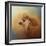 Enjoying the Breeze Apricot Poodle-Jai Johnson-Framed Giclee Print