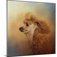 Enjoying the Breeze Apricot Poodle-Jai Johnson-Mounted Giclee Print