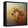 Enjoying the Breeze Apricot Poodle-Jai Johnson-Framed Stretched Canvas