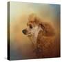 Enjoying the Breeze Apricot Poodle-Jai Johnson-Stretched Canvas