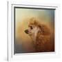 Enjoying the Breeze Apricot Poodle-Jai Johnson-Framed Giclee Print