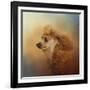 Enjoying the Breeze Apricot Poodle-Jai Johnson-Framed Giclee Print