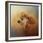 Enjoying the Breeze Apricot Poodle-Jai Johnson-Framed Giclee Print