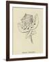 Enkoopia Chickabiddia-Edward Lear-Framed Giclee Print