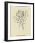 Enkoopia Chickabiddia-Edward Lear-Framed Giclee Print