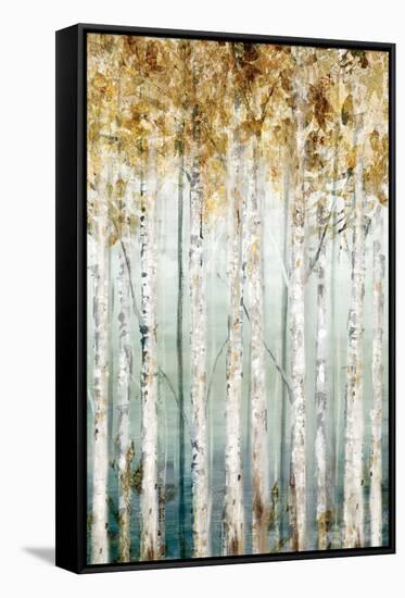 Enlightened Moment I-Isabelle Z-Framed Stretched Canvas