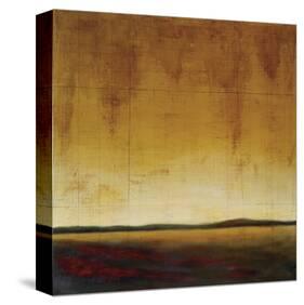 Enlightenment II-Jennifer White-Stretched Canvas