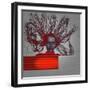 Enlightenment-NaxArt-Framed Art Print